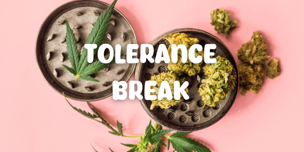 Tolerance Break