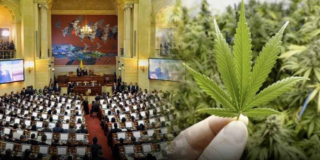 3 puntos claves que se debaten en el Congreso sobre la Marihuana 🌿